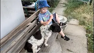 Кушать подано!…
