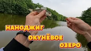 Наноджиг окунёвое озеро