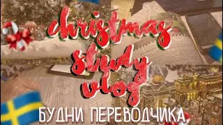Рождественский StudyVlog ♥ Много шведского, Рождественская ярмарка, Шведская кухня, Учеба на ДО ♥