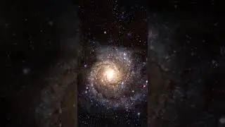 5 CURIOSIDADES EXTRAÑAS que NO sabías hace 25 segundos [1]