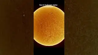 Sun in hydrogen alpha wavelength 🌞 
