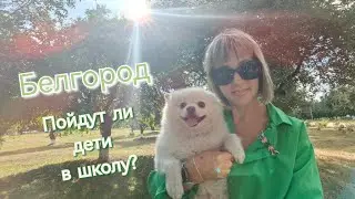 Белгород/Новости/Подготовка к школе