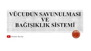 11. Sınıf Vücudun Savunulması ve Bağışıklık Sistemi