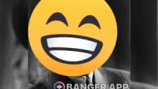 bitch lasagna& Austrian pinter cover