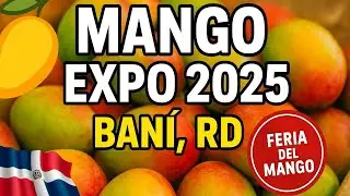 Mango Expo 2025 en Baní 🇩🇴 | El Festival del Mango Más Grande de RD| Feria del Mango RD 