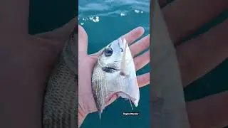 Bişey yok Bişey Yok 😂😂