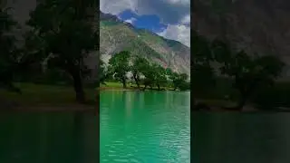 Благая Весть                    #аффирмациинакаждыйдень #душа #любовь #2024 #поэзия