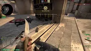 CS:GO (Reprise)