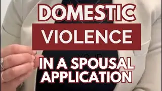 Victim of Domestic Violence + Immigration