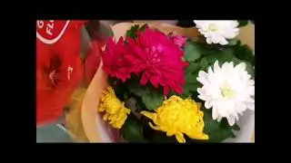❤  ЛЕРУА МЕРЛЕН ,  мои покупки за семь минут !     Метель в Наро-Фоминске .❄❄❄