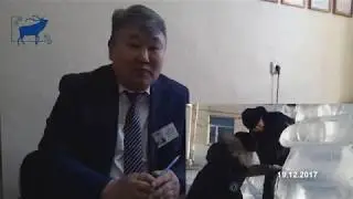 Подготовка к Новому году