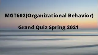 MGT602 (Entrepreneurship) Grand Quiz Solution Spring 2021 -  Set 1