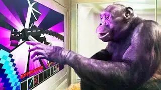 I Taught an Ape to BEAT Minecraft