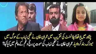 Imran Khan address to IT Board Ceremony in KPK - 12th January 2017