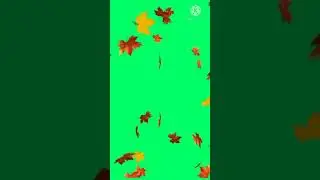 flowers green screen effects video | green screen video effect flowers #shorts