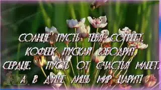 ДОБРОЕ УТРО!