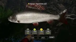 👀Русская Рыбалка 4👍Р.белая снова радует 😅😅
