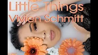Little Things - Vivien Schmitt