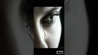 Мухаммад хабиби