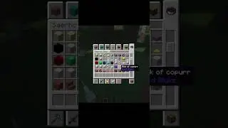 Did you know this Easter Egg in MC? // #minecraft #gaming #shorts