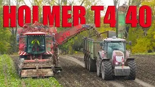 Sugar Beet harvesting 2024!? | Holmer T4-40 | McCORMICK X8.631 & HAWE RUW 4000
