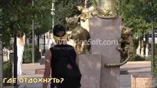 Привет из Сибири