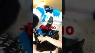 23 июня 2024 г.
