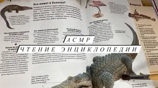 АСМР | Чтение энциклопедии ASMR | Шелест страниц | Кисточка | Близкий шепот