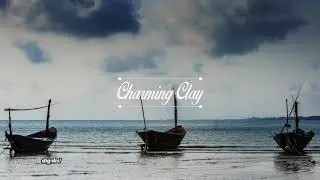 Teho - Irani (Joris Delacroix Remix) | Charming Clay