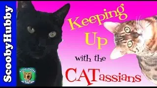 Keeping Up with the CATassians -- Cat Clips #199