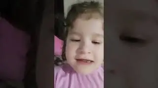 11 июня 2024 г.