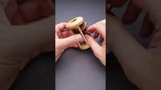 Remove the OWL from the cage 