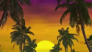 Summer Palm Trees Sunset Background 4K VJ Loop Video | No Copyright Motion Loop Video
