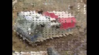 6 слайд