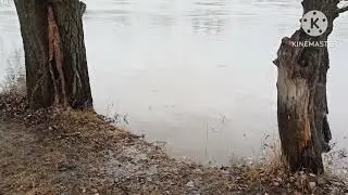 Весна на  р. Медведица