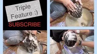 ASMR | Hair Washing “3” People | Super Sudsy Shampooing | Tingly Sounds