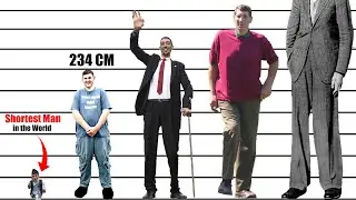 Tallest People in the World | Height Comparison