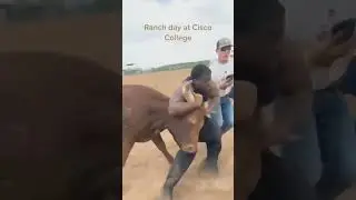 Take the bull by the horns today y'all