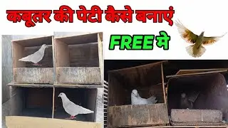 Kabutar ki peti kaise banaye free me ghar pe | kabutar ka ghar kaise banaye #kabutarkadarba