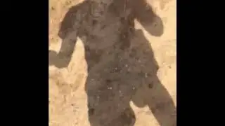 Убийство квадроцикл в хлам