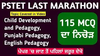 Pstet | Pstet Paper 2 Preparation | Punjabi Pstet paper 2 | Pstet cdp MCQ | Study Fighters