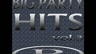 Big Party Hits Vol.3 [Full Album]