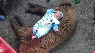 سبوع اول مولود علي قناتي محمد حازم وعقبال عندكم جميعا