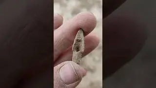 Starodávný hrot šípu nalezený detektorem kovů #metaldetecting #metaldetector #archaeology #hunt