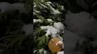 адвент календарь | день 14