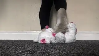 Teddy Trample