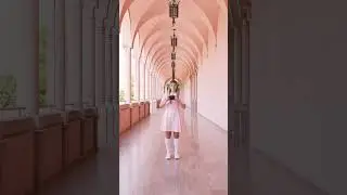 Canon + Wes Anderson 🎥