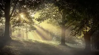 Quintessential music to start the morning | Start your morning with this music