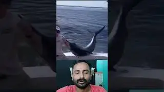 OmG 😳 Ye kiya hua ❓ #shorts #fish #sea