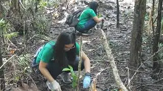 Dominican School Manila | Tree Planting S.Y. 2018-2019